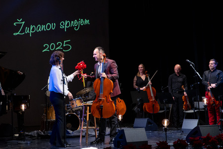 ŽUPANOV SPREJEM (31)